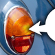 Illustration for article titled The Earth-Shaking Revelation Of The Forgotten Beetle Taillights